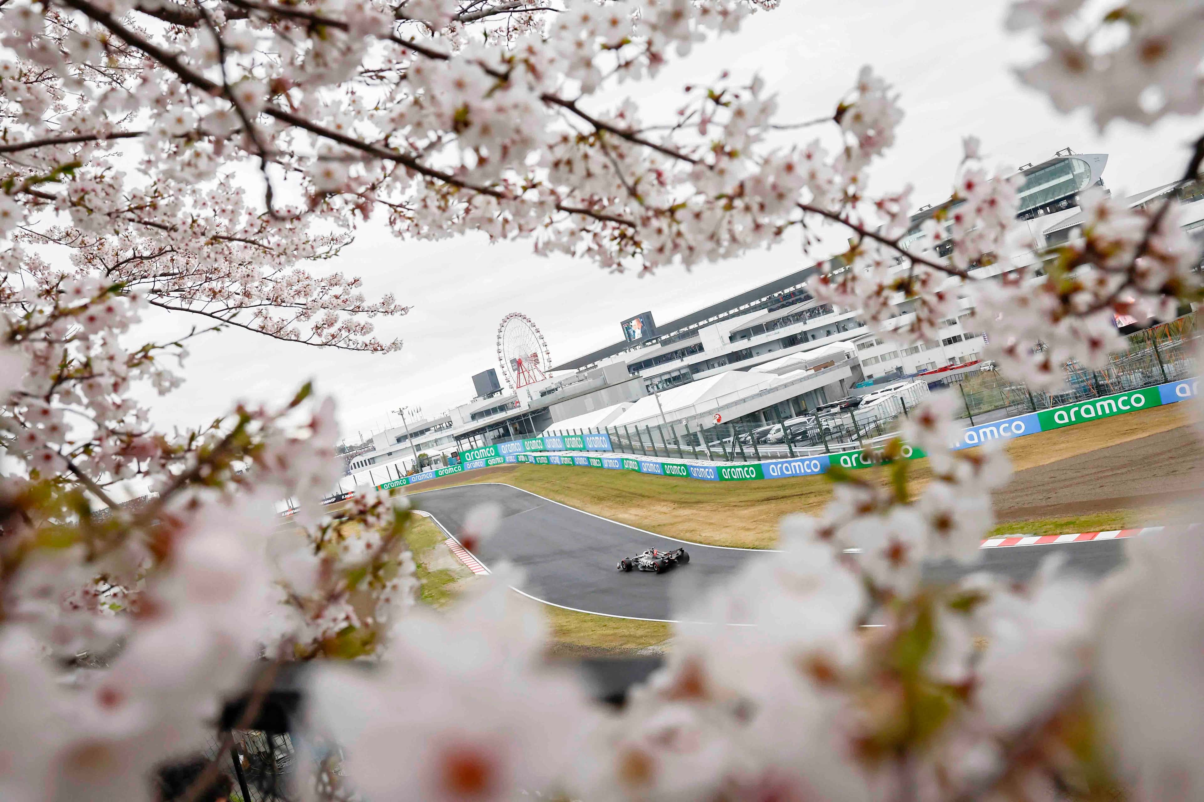 An F1 car on track at Suzuka framed by cherry blossoms, with the Ferris wheel and pit complex behind